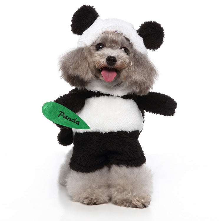 Pet Products Clothing