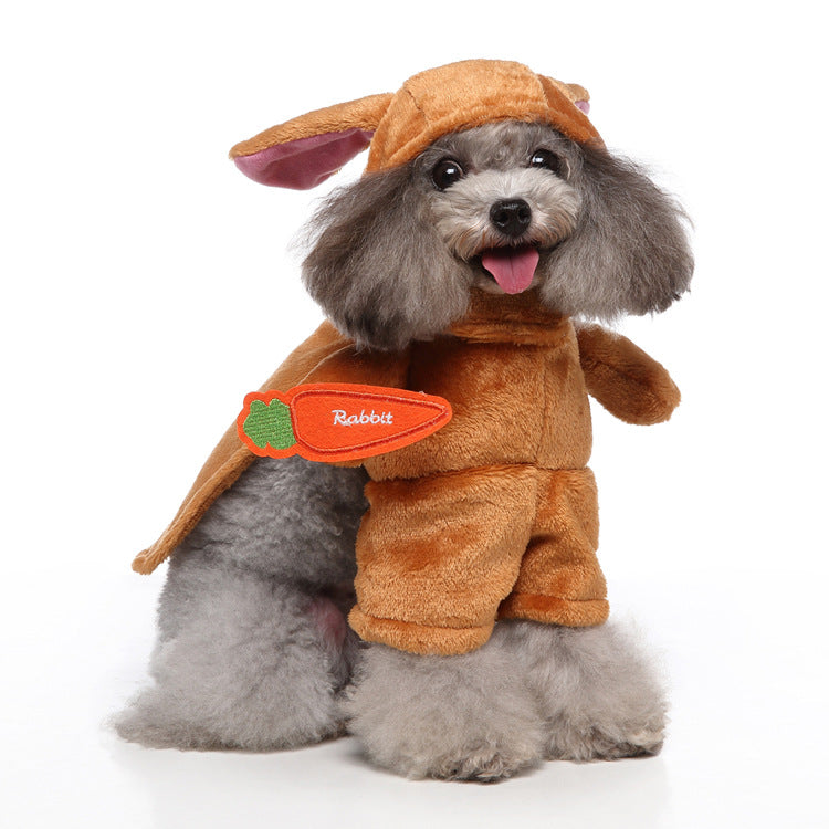 Pet Products Clothing